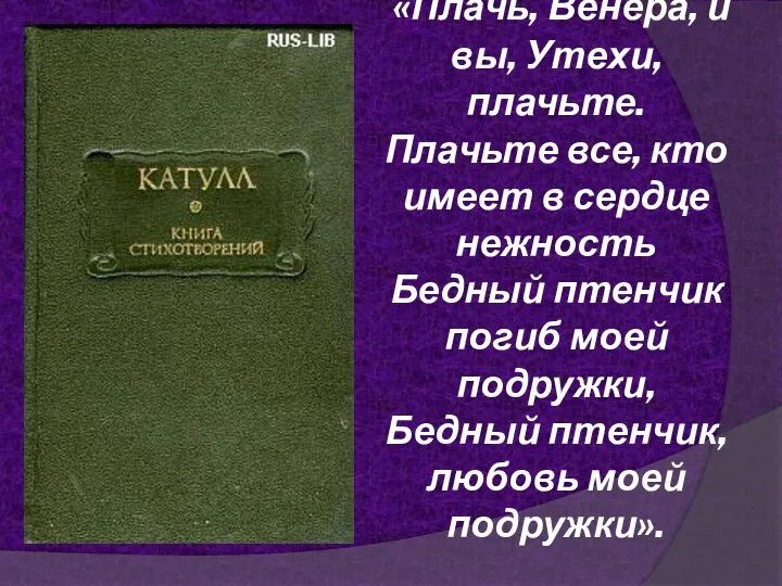 «Плачь, Венера, и вы, Утехи, плачьте. Плачьте все, кто имеет в сердце нежность