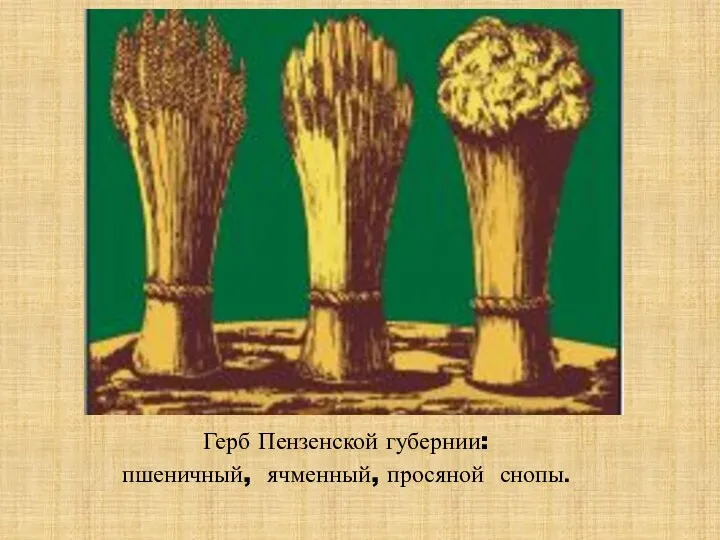 Герб Пензенской губернии: пшеничный, ячменный, просяной снопы.