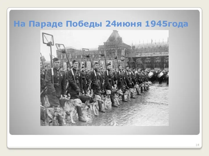На Параде Победы 24июня 1945года