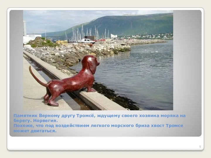 Памятник Верному другу Тромсё, ждущему своего хозяина моряка на берегу.