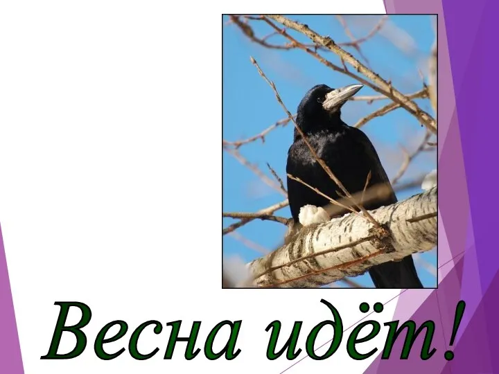 Весна идёт!