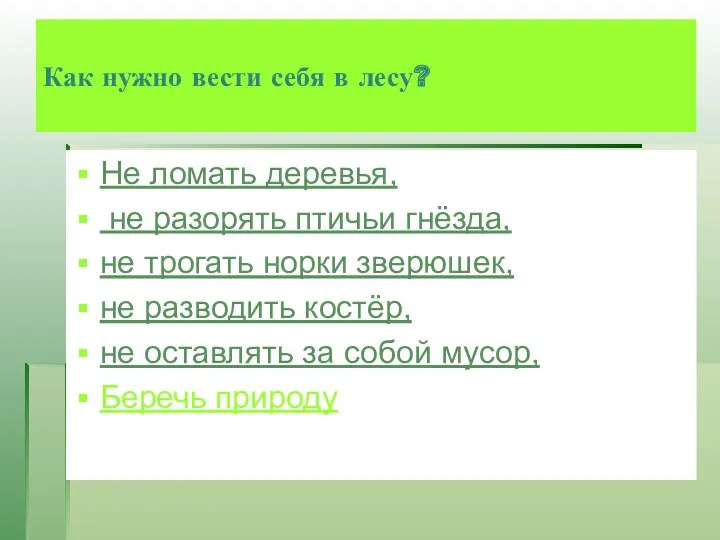 Как нужно вести себя в лесу? Не ломать деревья, не