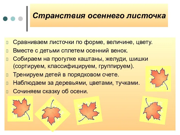 Странствия осеннего листочка Сравниваем листочки по форме, величине, цвету. Вместе