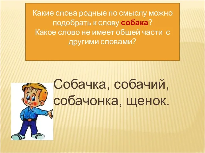 Какие слова родные по смыслу можно подобрать к слову собака?