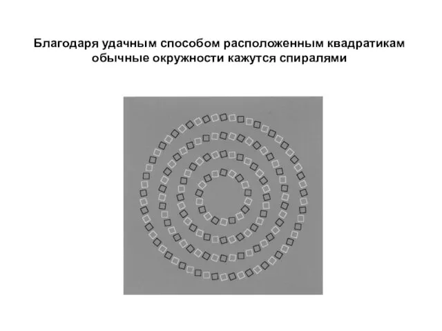 Благодаря удачным способом расположенным квадратикам обычные окружности кажутся спиралями