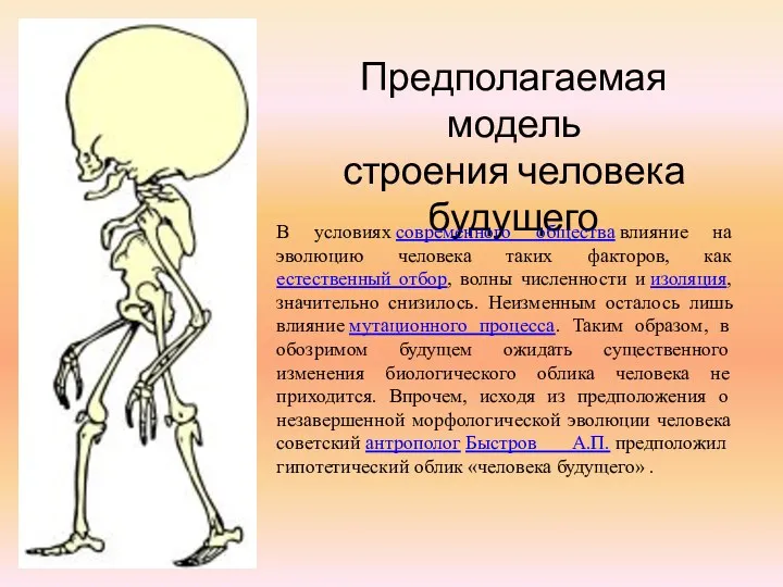 Предполагаемая модель строения человека будущего В условиях современного общества влияние