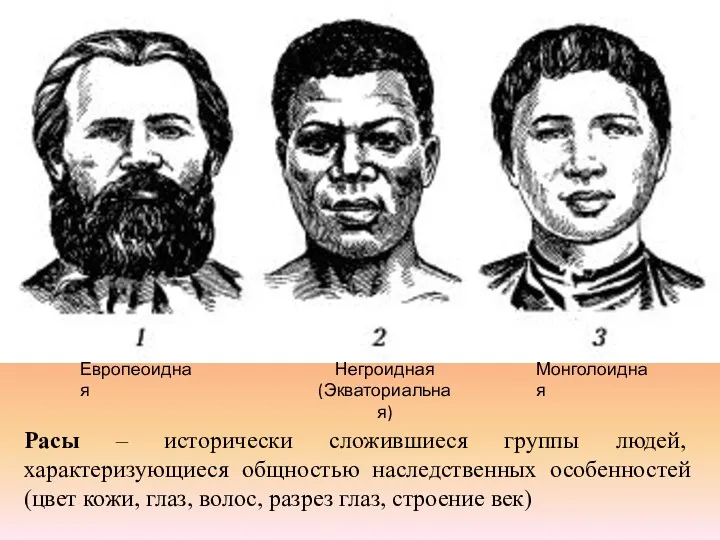 Расы – исторически сложившиеся группы людей, характеризующиеся общностью наследственных особенностей