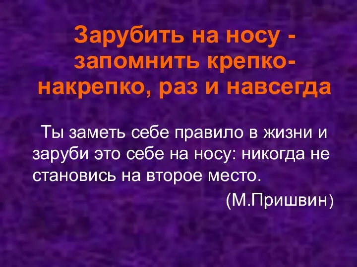 Зарубить на носу - запомнить крепко- накрепко, раз и навсегда