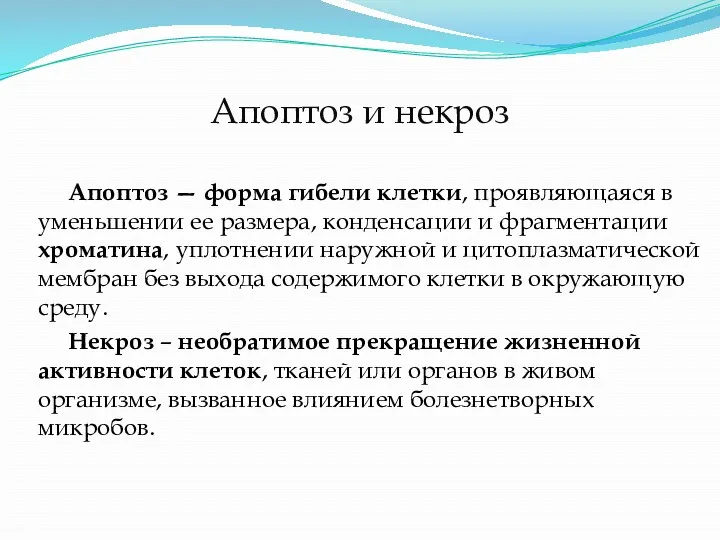 Апоптоз и некроз Апоптоз — форма гибели клетки, проявляющаяся в