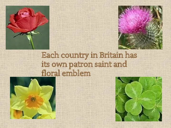 Each country in Britain has its own patron saint and floral emblem