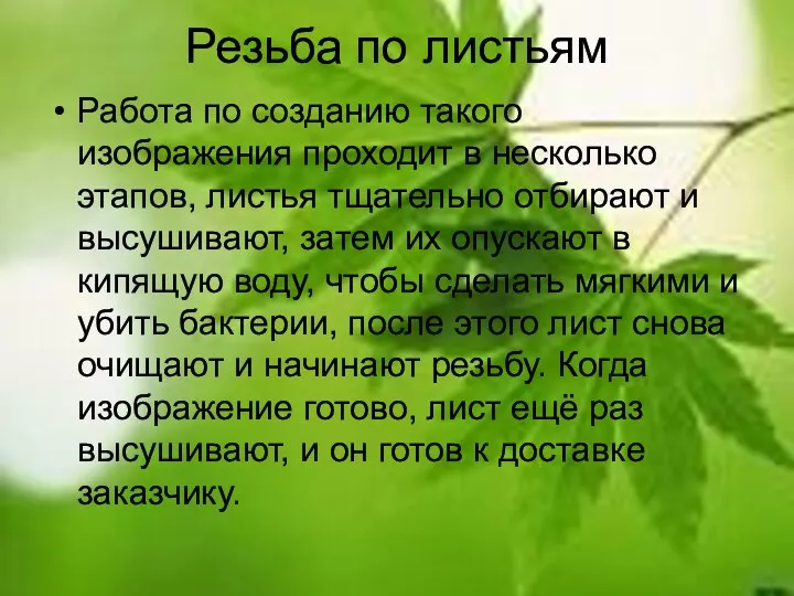 Резьба по листьям Работа по созданию такого изображения проходит в несколько этапов, листья