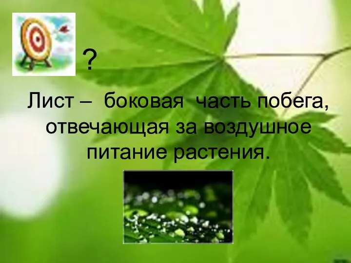 Лист – боковая часть побега, отвечающая за воздушное питание растения. ?