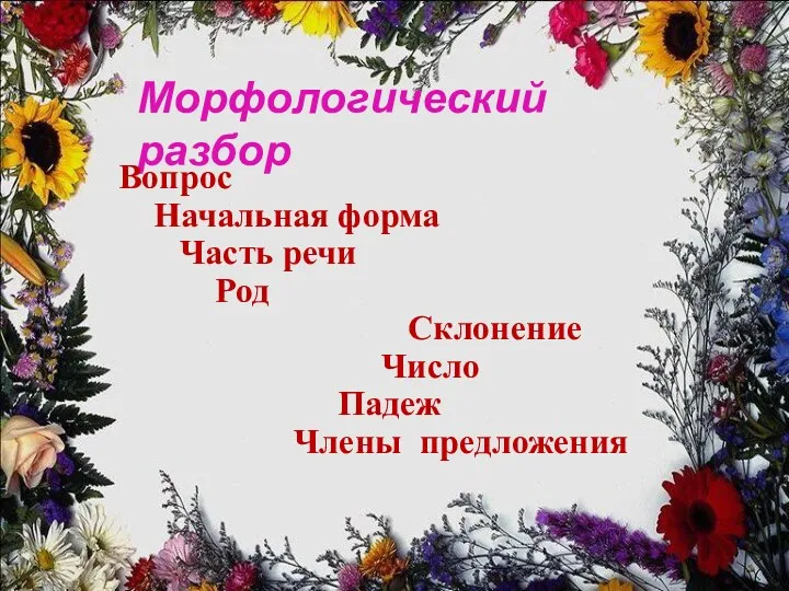 Морфологический разбор Вопрос Начальная форма Часть речи Род Склонение Число Падеж Члены предложения