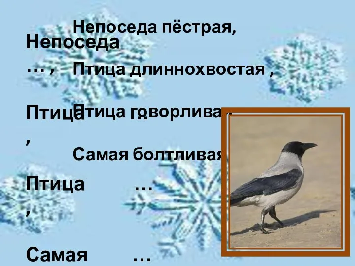 Непоседа … , Птица … , Птица … , Самая