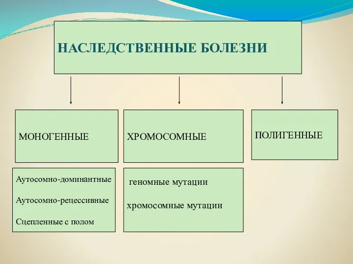 НАСЛЕДСТВЕННЫЕ БОЛЕЗНИ ХРОМОСОМНЫЕ геномные мутации хромосомные мутации МОНОГЕННЫЕ Аутосомно-доминантные Аутосомно-рецессивные Сцепленные с полом ПОЛИГЕННЫЕ