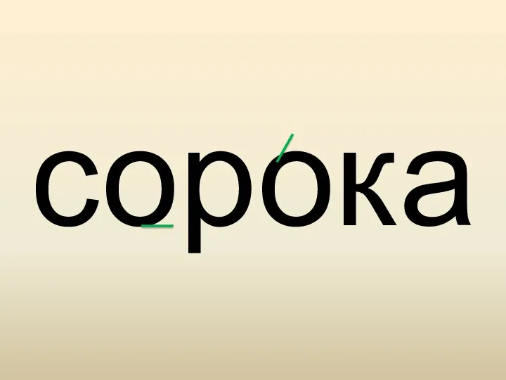 сорока