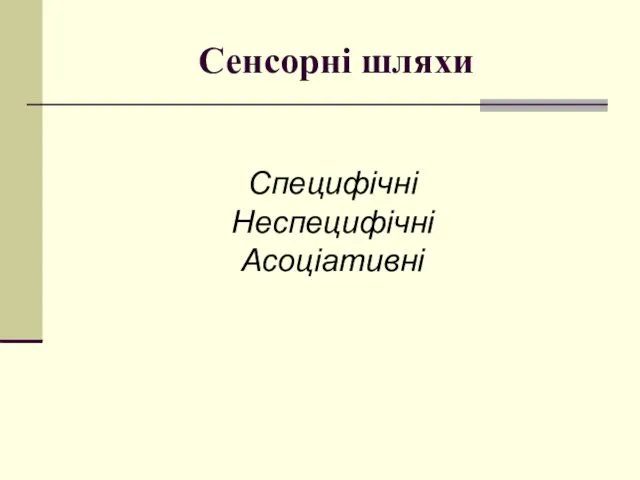 Сенсорні шляхи Специфічні Неспецифічні Асоціативні