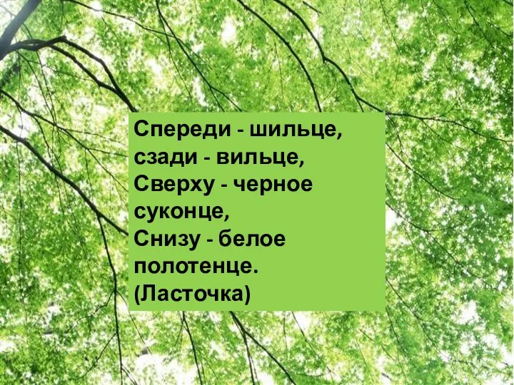 Спереди - шильце, сзади - вильце, Сверху - черное суконце, Снизу - белое полотенце. (Ласточка)