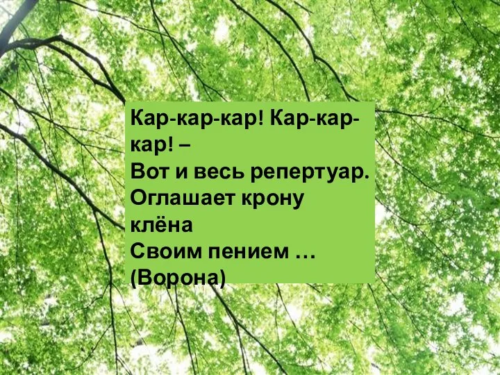 Кар-кар-кар! Кар-кар-кар! – Вот и весь репертуар. Оглашает крону клёна Своим пением … (Ворона)