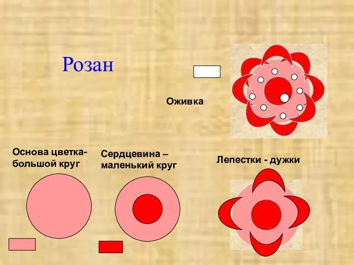 Розан Основа цветка- большой круг Сердцевина – маленький круг Лепестки - дужки Оживка