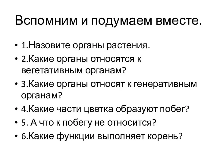 Вспомним и подумаем вместе. 1.Назовите органы растения. 2.Какие органы относятся