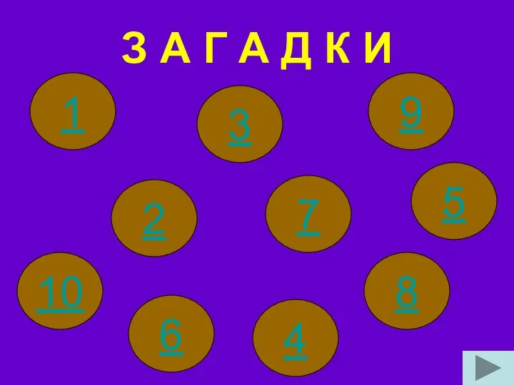 З А Г А Д К И 2 6 3