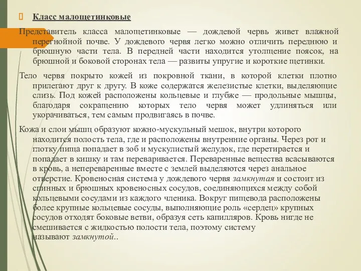 Класс малощетинковые Представитель класса малощетинковые — дождевой червь живет влажной