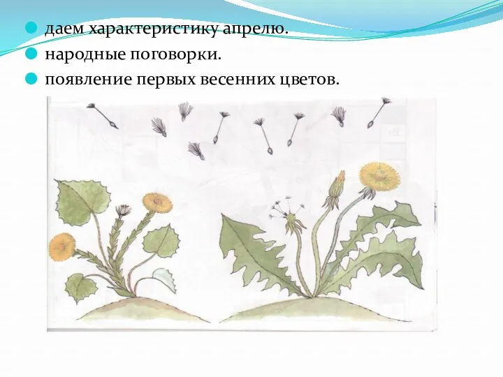 даем характеристику апрелю. народные поговорки. появление первых весенних цветов.