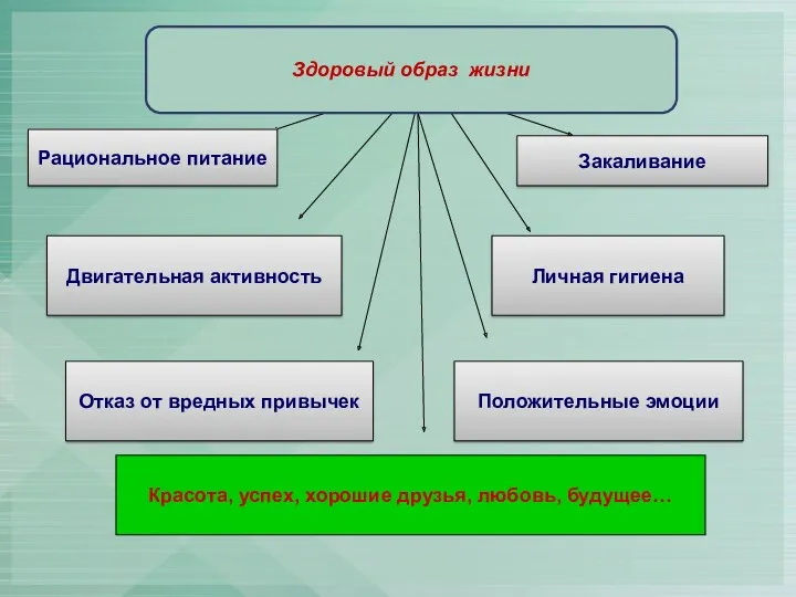 Красота, успех, хорошие друзья, любовь, будущее… Рациональное питание Двигательная активность