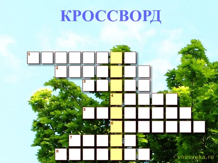 1 2 3 4 5 6 7 8 КРОССВОРД