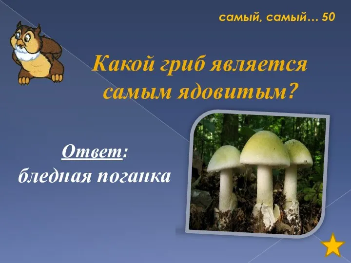 самый, самый… 50 Какой гриб является самым ядовитым? Ответ: бледная поганка