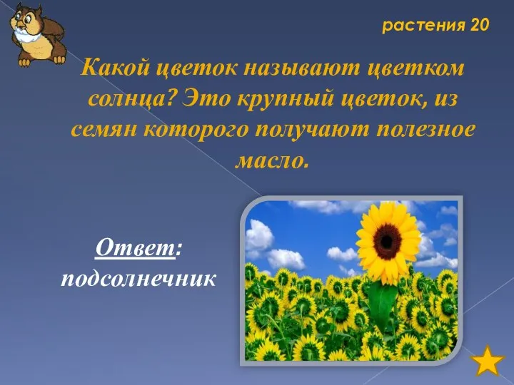 растения 20 Какой цветок называют цветком солнца? Это крупный цветок,