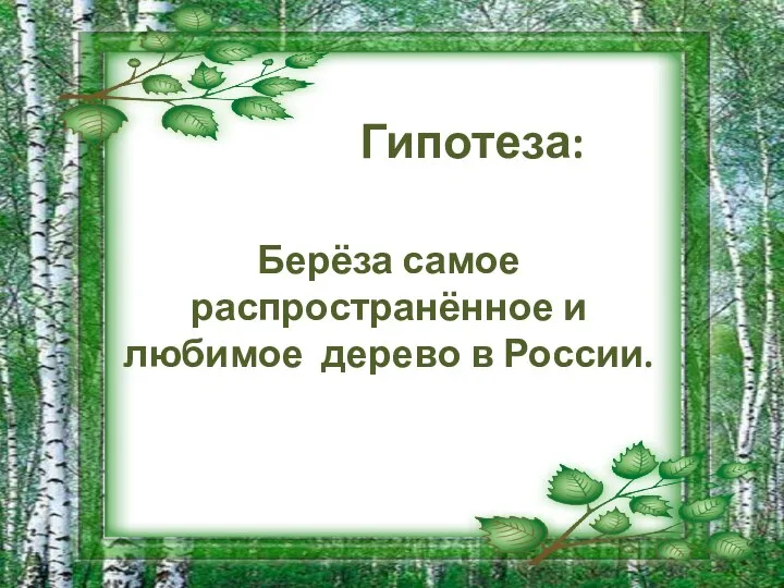 Гипотеза: Берёза самое распространённое и любимое дерево в России.
