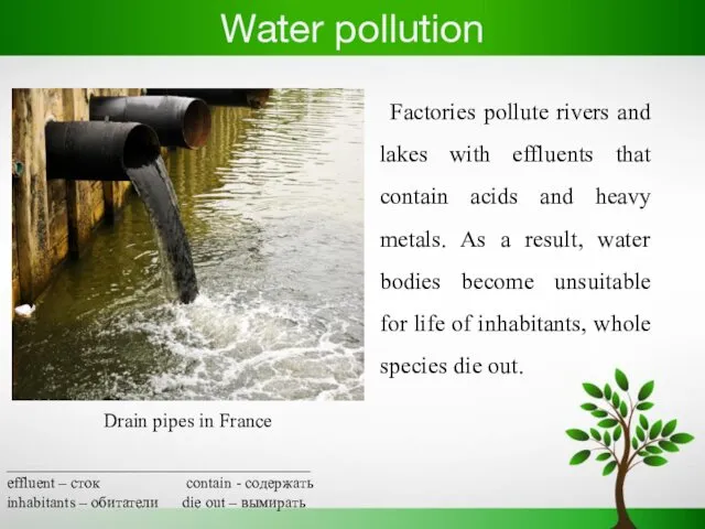 Water pollution Factories pollute rivers and lakes with effluents that