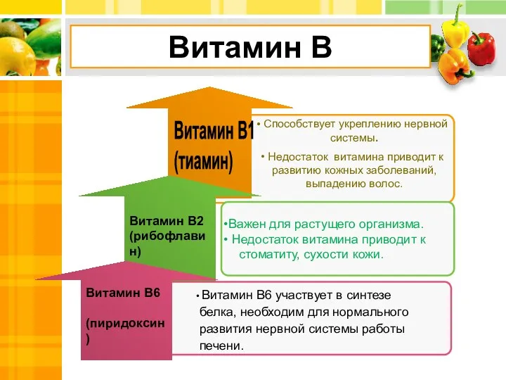 Витамин В Важен для растущего организма. Недостаток витамина приводит к