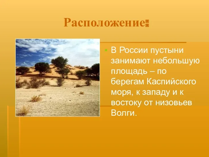 Расположение: В России пустыни занимают небольшую площадь – по берегам