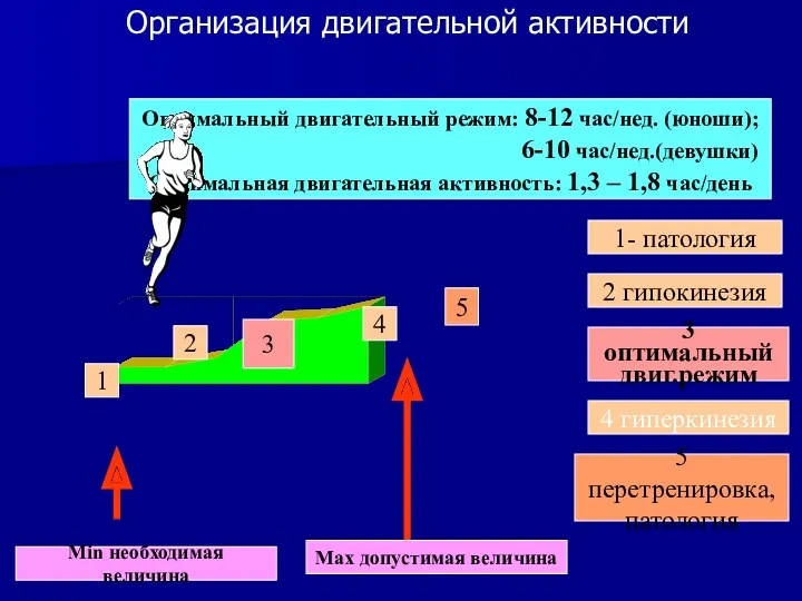 Организация двигательной активности Оптимальный двигательный режим: 8-12 час/нед. (юноши); 6-10