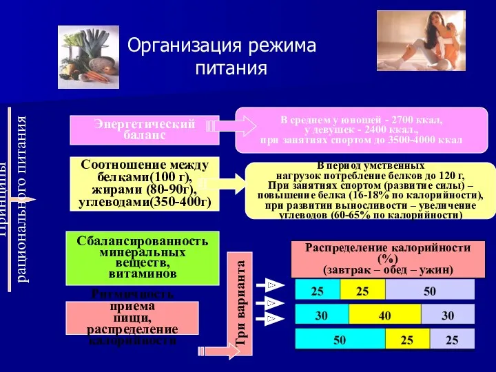 Организация режима питания Принципы рационального питания Энергетический баланс В среднем