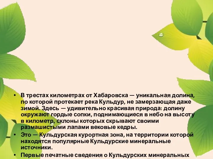 В трестах километрах от Хабаровска — уникальная долина, по которой протекает река Кульдур,