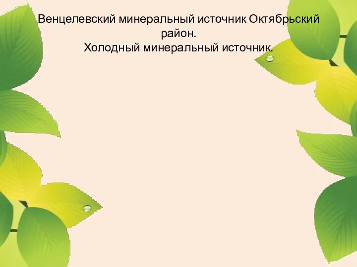 Венцелевский минеральный источник Октябрьский район. Холодный минеральный источник.