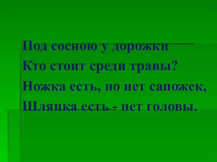 Под сосною у дорожки Кто стоит среди травы? Ножка есть,