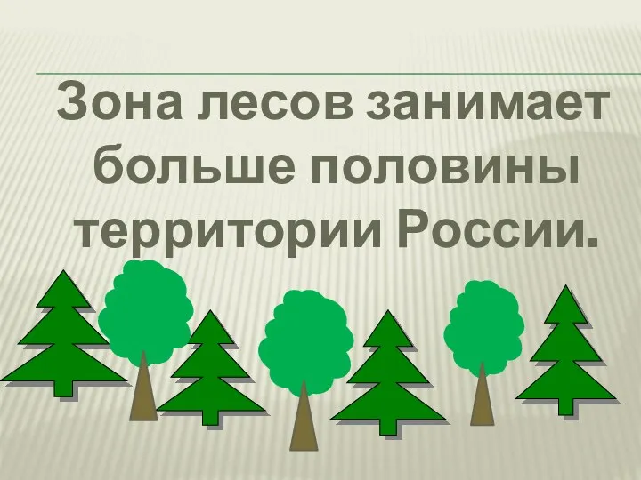Зона лесов занимает больше половины территории России.