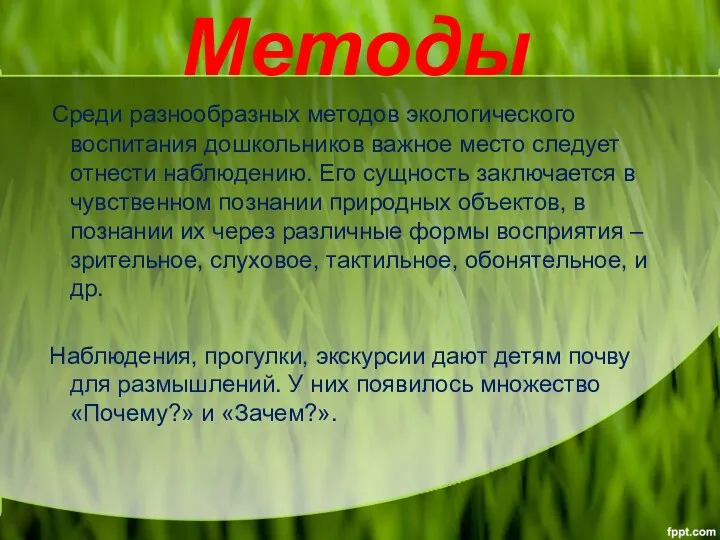 Методы Среди разнообразных методов экологического воспитания дошкольников важное место следует