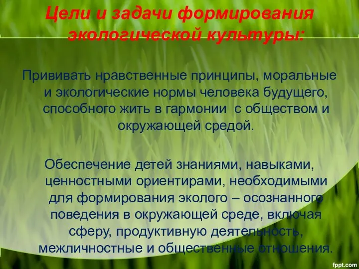 Цели и задачи формирования экологической культуры: Прививать нравственные принципы, моральные и экологические нормы