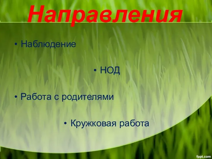 Направления Наблюдение НОД Работа с родителями Кружковая работа