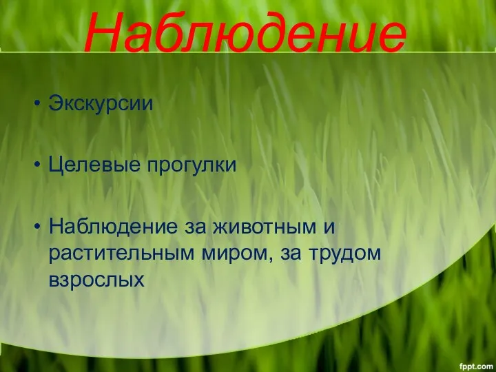 Наблюдение Экскурсии Целевые прогулки Наблюдение за животным и растительным миром, за трудом взрослых