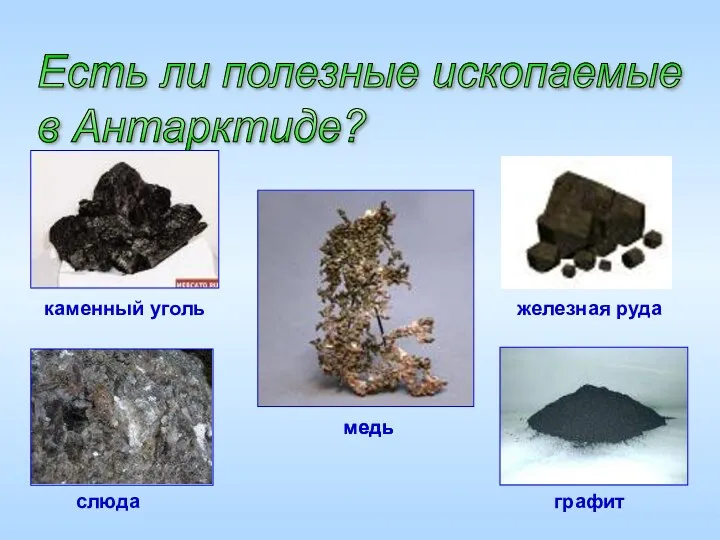 Есть ли полезные ископаемые в Антарктиде? каменный уголь слюда железная руда медь графит медь