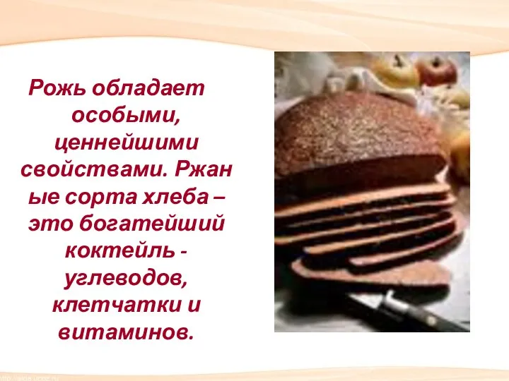 Рожь обладает особыми, ценнейшими свойствами. Ржаные сорта хлеба – это богатейший коктейль -