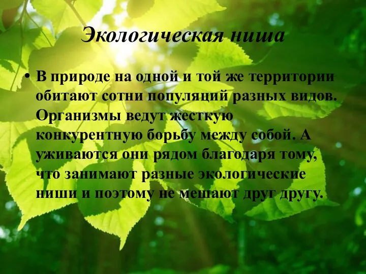 Экологическая ниша В природе на одной и той же территории