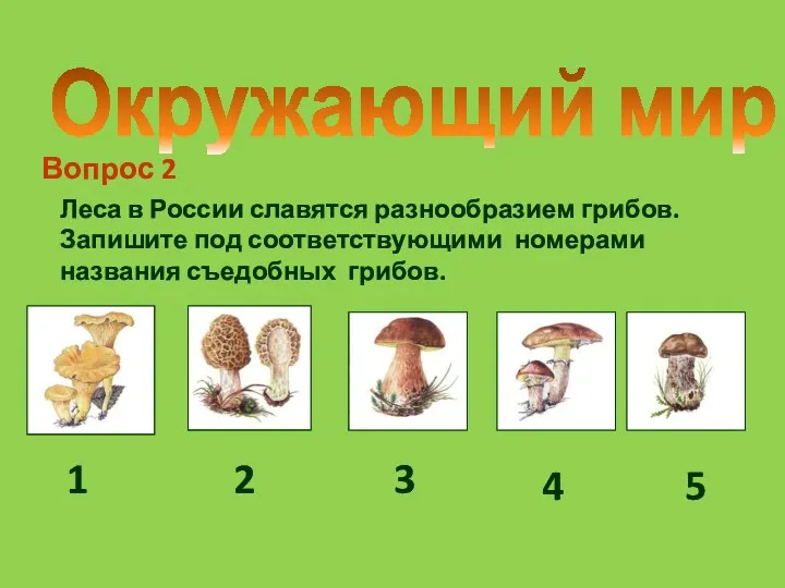 Окружающий мир Леса в России славятся разнообразием грибов. Запишите под соответствующими номерами названия